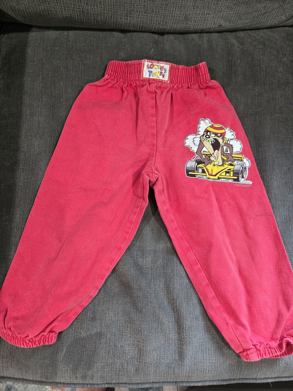 Vintage Warner Bros. Kids Red Joggers with Taz Racing Graphic